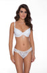 Roza Damaris Brief